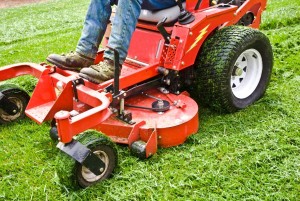 Hardscaping Services