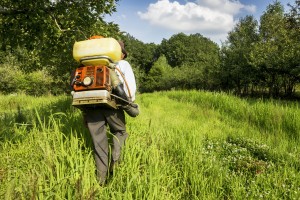 Weed Control